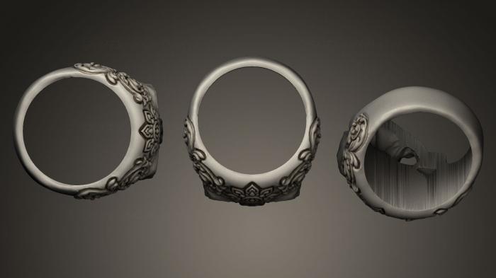 Jewelry rings (JVLRP_0037) 3D model for CNC machine